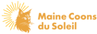 MaineCoonsduSoleilLogo_NEW_gold_preview_rev_1
